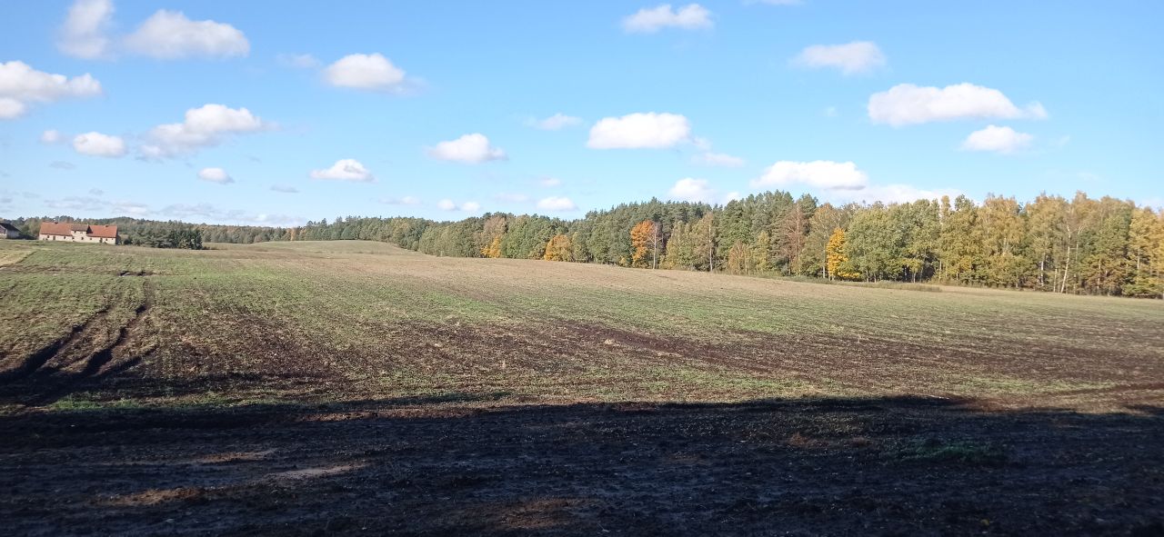 Działka rolna Połapin. Zdjęcie 2