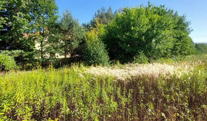 Działka budowlana Dębe Wielkie