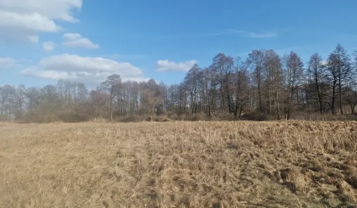 Działka rolna Otrębusy, ul. Torfowa