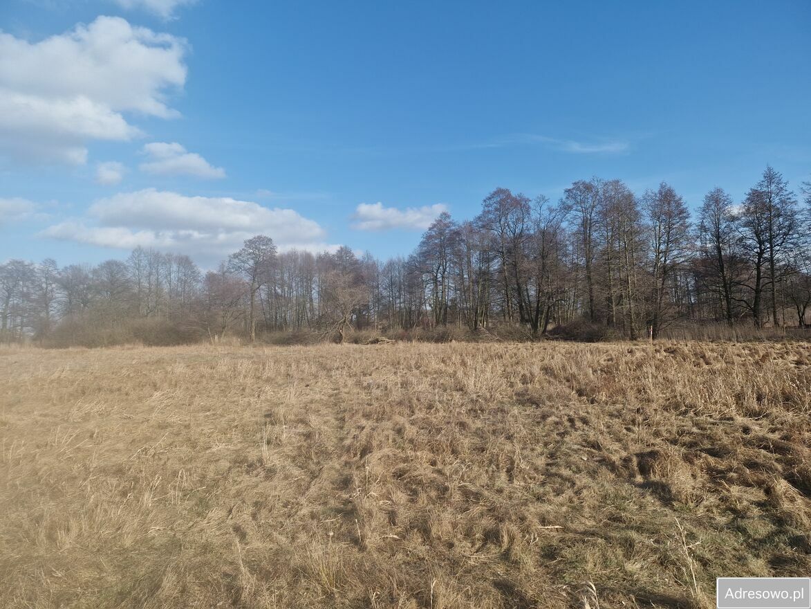 Działka rolna Otrębusy, ul. Torfowa. Zdjęcie 1