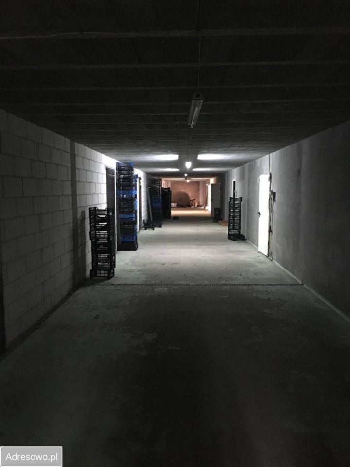 Hala/magazyn Rokitno Szlacheckie. Zdjęcie 6