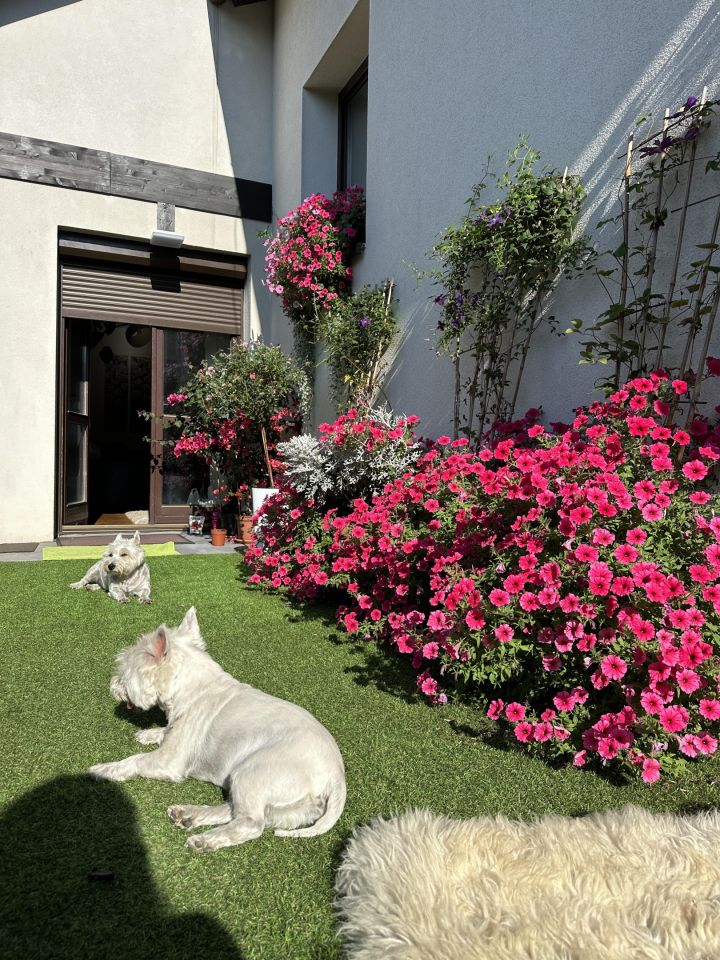 dom wolnostojący, 6 pokoi Mielec Stary Mielec, ul. Gabriela Narutowicza. Zdjęcie 10