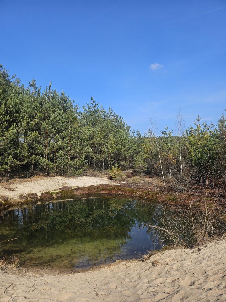 Działka rolno-budowlana Teodory. Zdjęcie 8