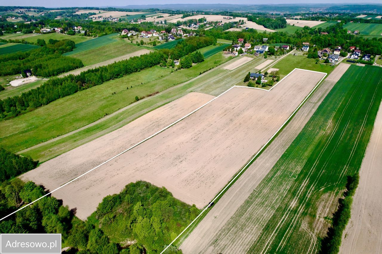 Działka rolno-budowlana Tłuczań. Zdjęcie 7