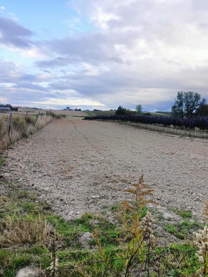 Działka rolno-budowlana Las Stocki. Zdjęcie 5