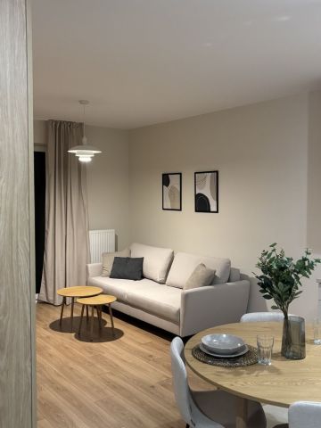 Mieszkanie 2-pokojowe Kraków Zabłocie, ul. Portowa. Zdjęcie 1