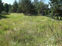 Działka rolno-budowlana Ełk Szyba, ul. Baranki. Zdjęcie 3