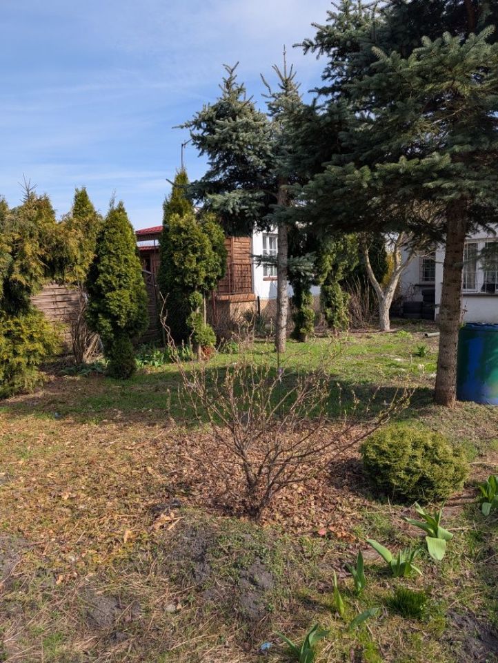 Działka rod Grudziądz. Zdjęcie 4