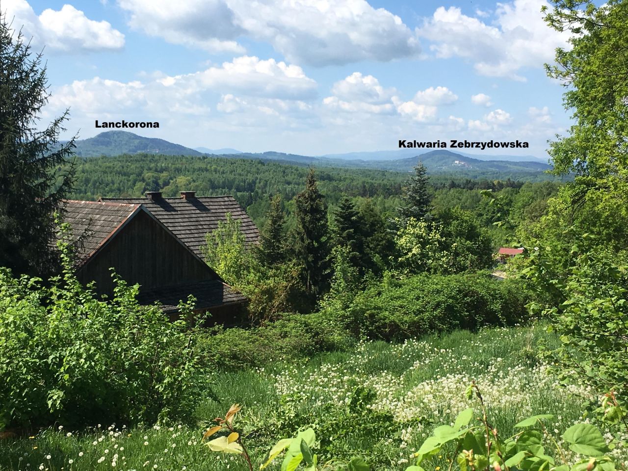 Działka budowlana Podchybie Pochów, ul. Widokowa. Zdjęcie 2