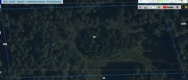 Działka leśna Wyszomierz. Zdjęcie 4