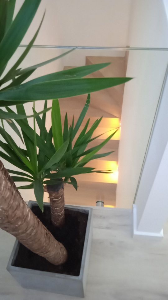 dom wolnostojący, 4 pokoje Zbrosławice, ul. Łąkowa. Zdjęcie 15