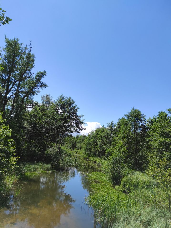 Działka budowlana Pogobie Średnie. Zdjęcie 3