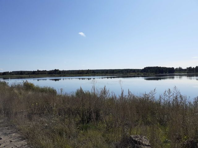 Działka rolna Kowalowy Gród. Zdjęcie 1