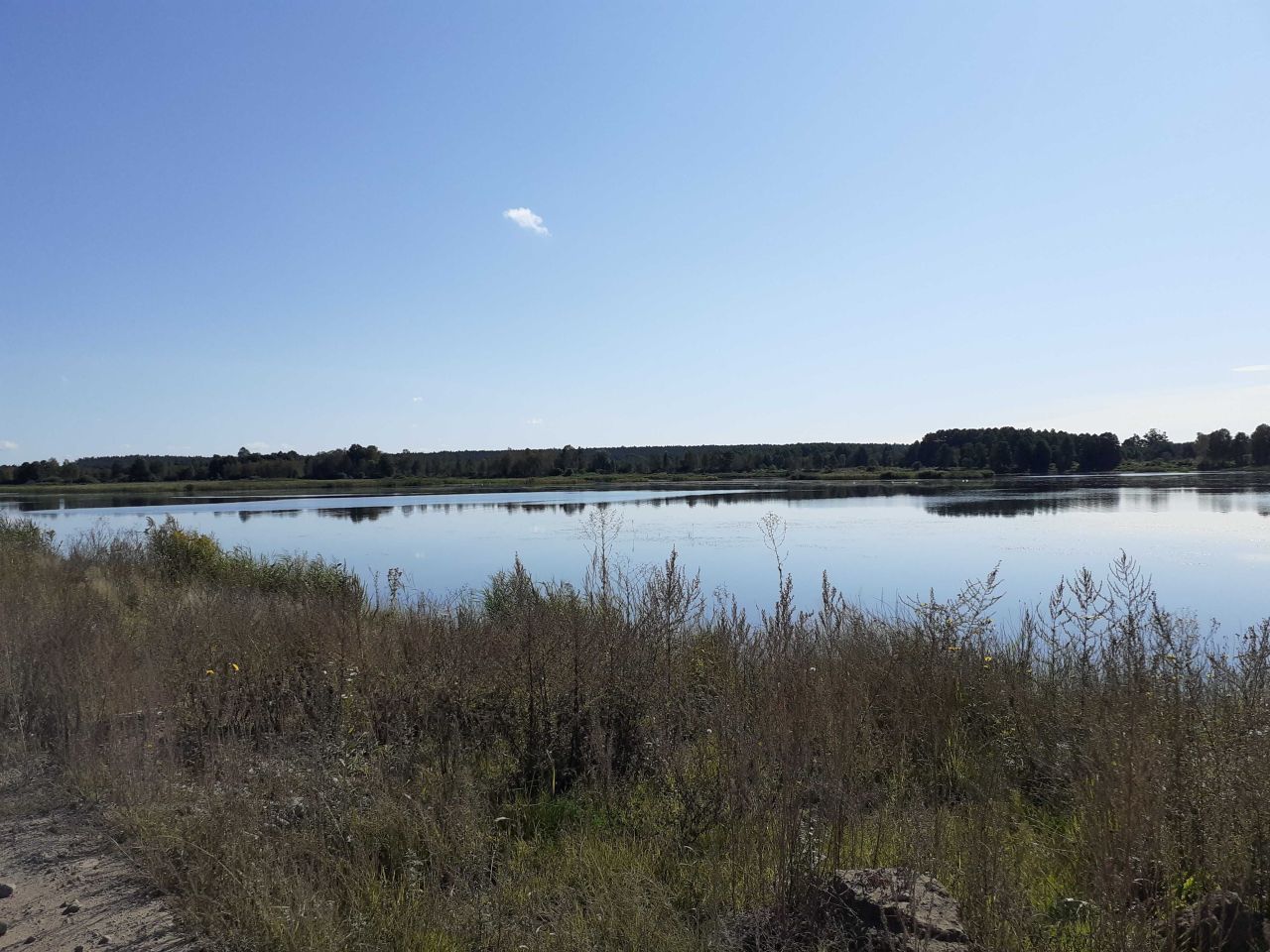 Działka rolna Kowalowy Gród. Zdjęcie 1