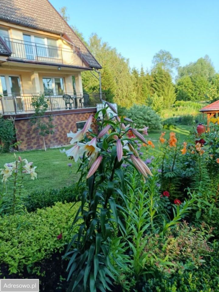 dom wolnostojący, 8 pokoi Pasym, ul. Spacerowa. Zdjęcie 16