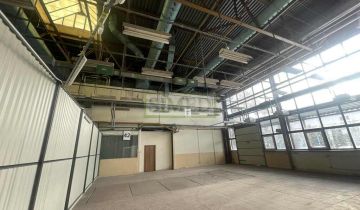 Hala/magazyn Warszawa Bielany