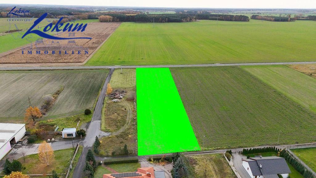 Działka budowlana Gołanice, ul. Leśna. Zdjęcie 3