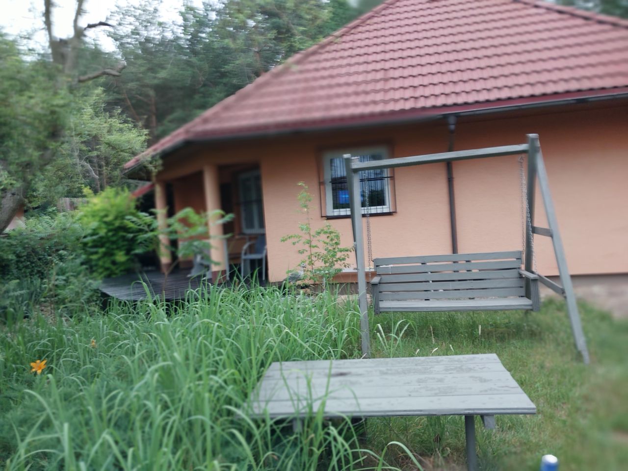 Działka rekreacyjna Skorzewo, W. Zdjęcie 12