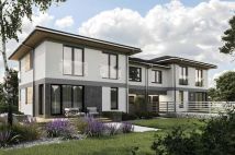 bliźniak Kłoczew. Zdjęcie 2