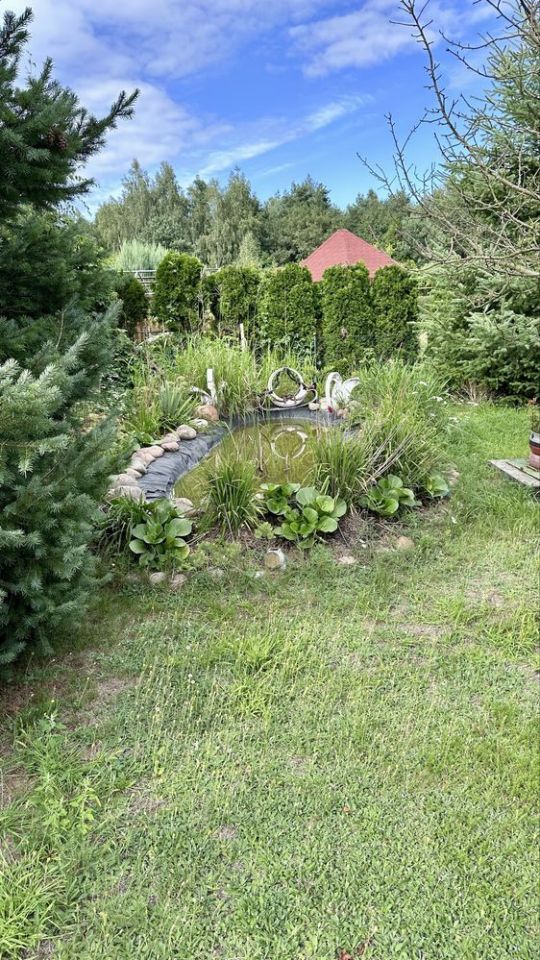 Działka rod Kulów. Zdjęcie 7