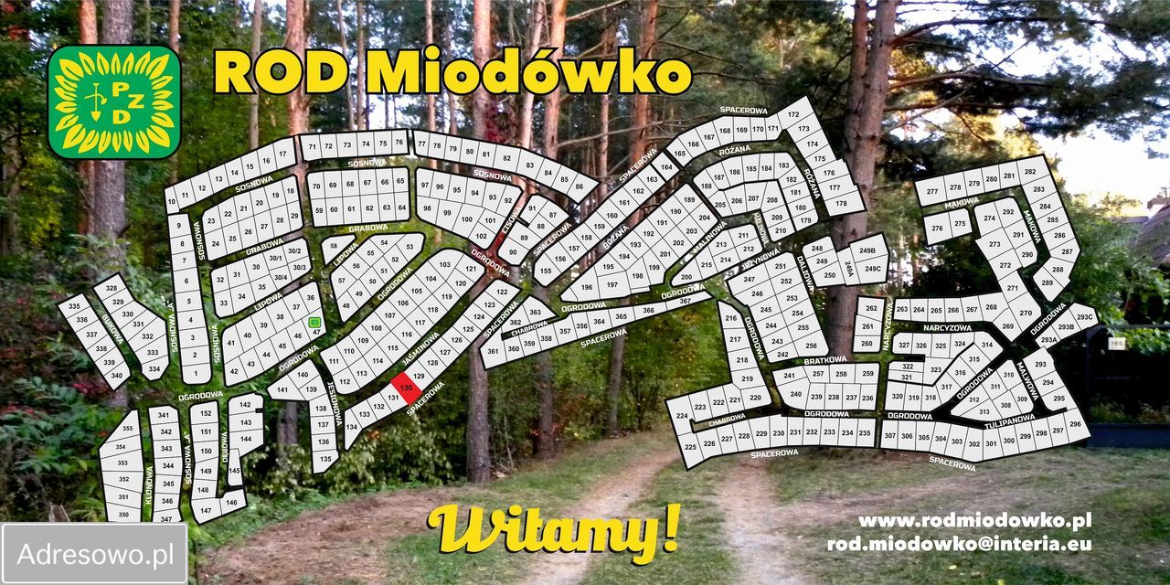 Działka rod Miodówko. Zdjęcie 5