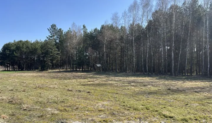 Działka budowlana Kotwasice