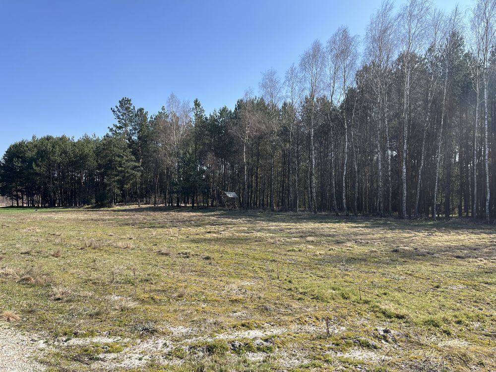 Działka budowlana Kotwasice