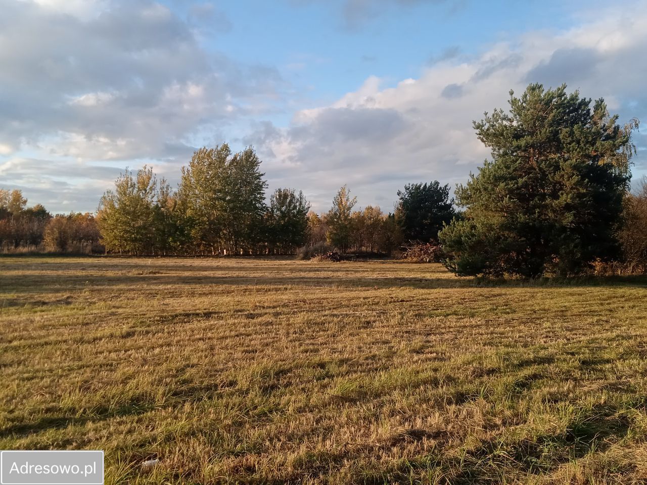 Działka budowlana Tarczyn, ul. Wąska. Zdjęcie 12