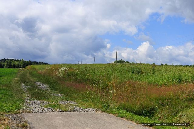 Działka budowlana Olszyny. Zdjęcie 10