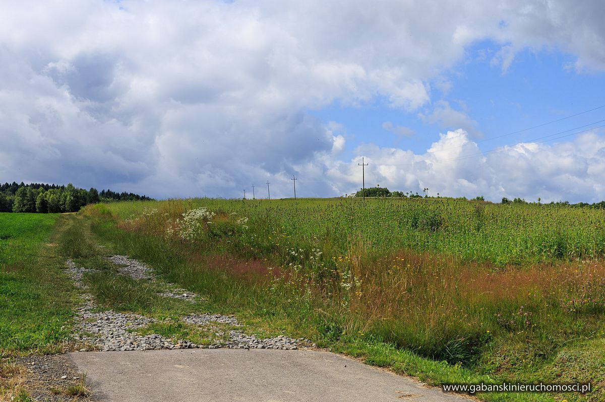 Działka budowlana Olszyny. Zdjęcie 10