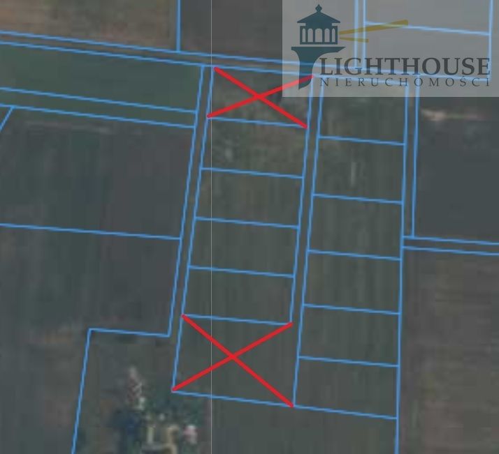 Działka siedliskowa Ełganowo. Zdjęcie 5