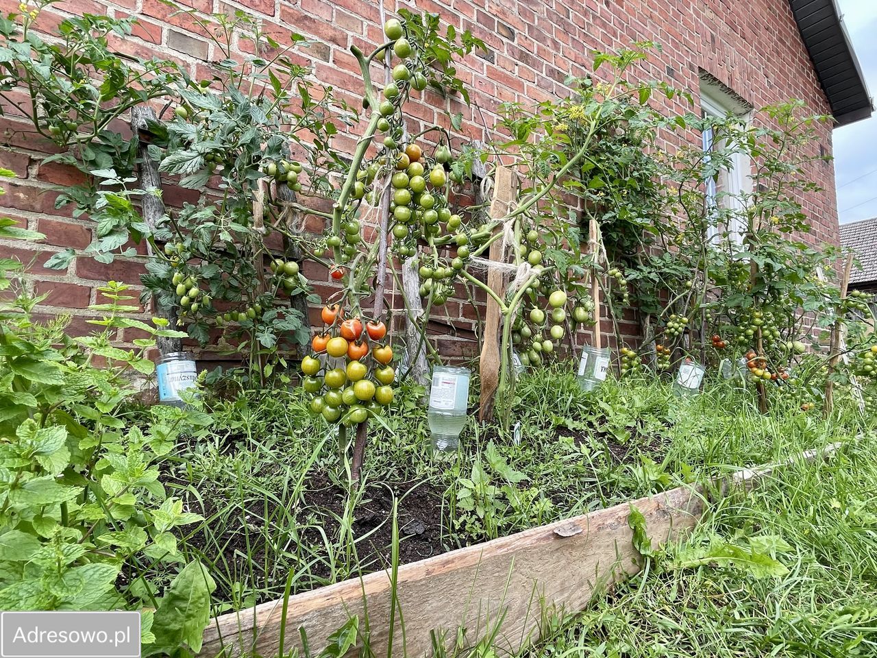 dom wolnostojący, 4 pokoje Gwda Wielka. Zdjęcie 5