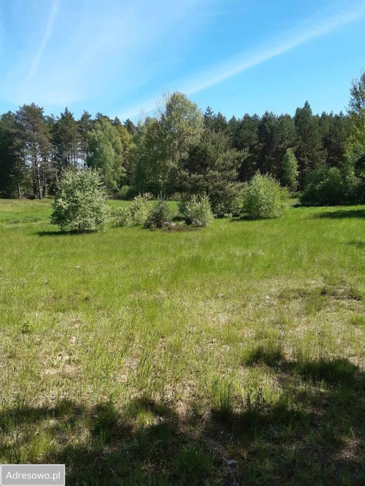 Działka budowlana Leśniewo, ul. Złota Dolina. Zdjęcie 5