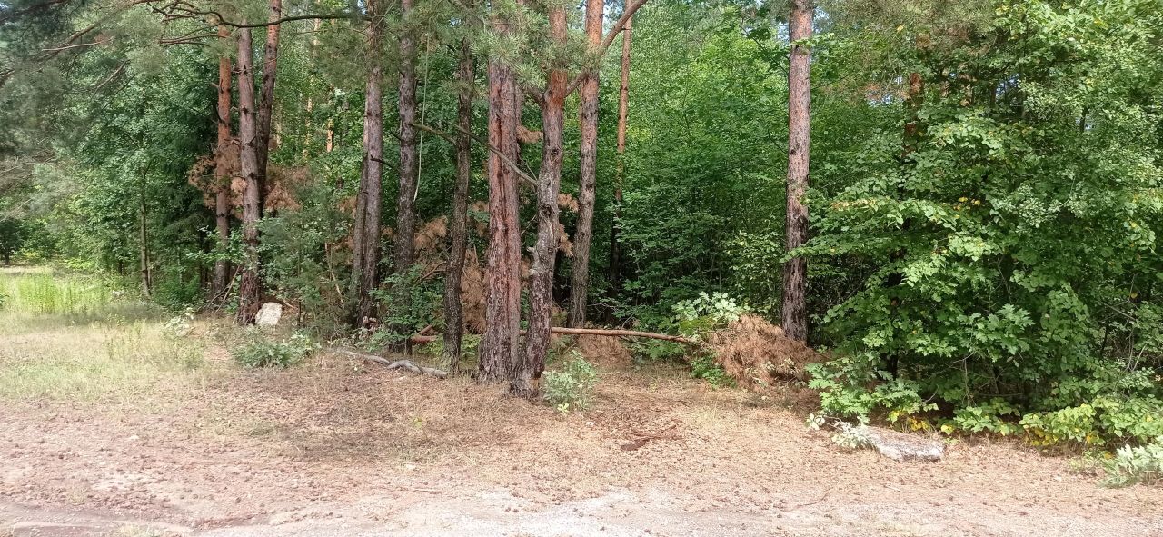 Działka budowlana Zawiercie Kromołów, ul. Zbożowa. Zdjęcie 3