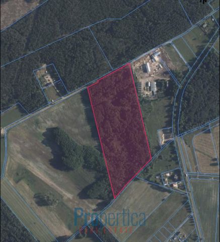 Działka budowlana Opaleniec. Zdjęcie 1