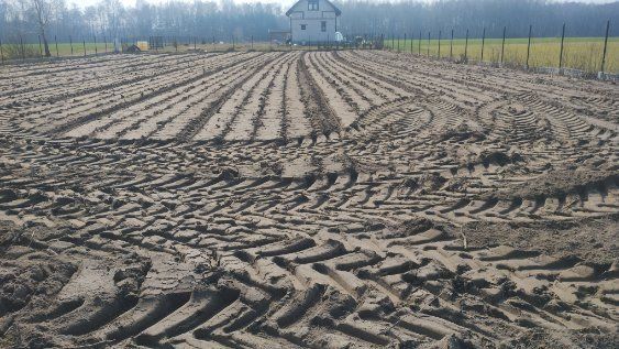 Działka rolno-budowlana Grygrów. Zdjęcie 3