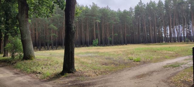 Działka rolna Rybojady. Zdjęcie 1