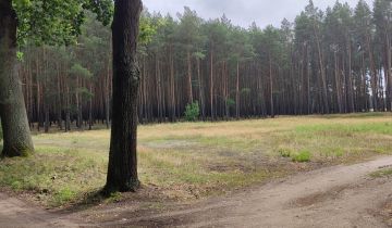 Działka rolna Rybojady