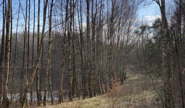 Działka siedliskowa Chrztowo