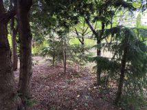 Działka rod Tarnobrzeg Wielopole. Zdjęcie 4