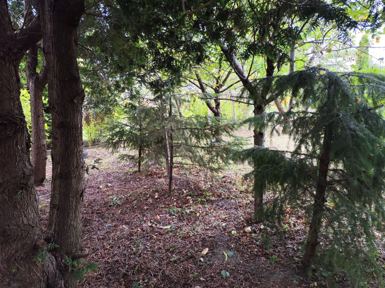 Działka rod Tarnobrzeg Wielopole. Zdjęcie 5