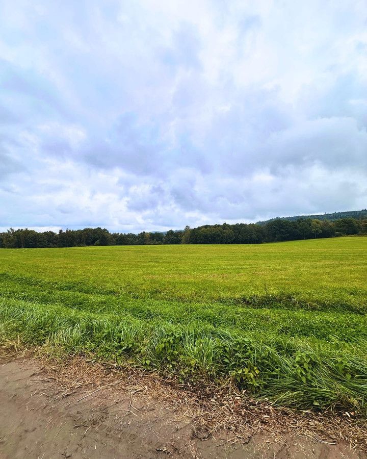 Działka budowlana Janowice Wielkie. Zdjęcie 26