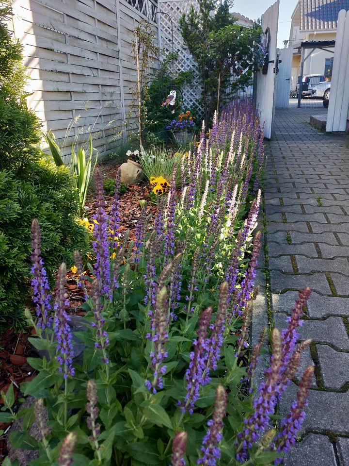Mieszkanie 4-pokojowe Kobyłka Maciołki, ul. Podleśna. Zdjęcie 10