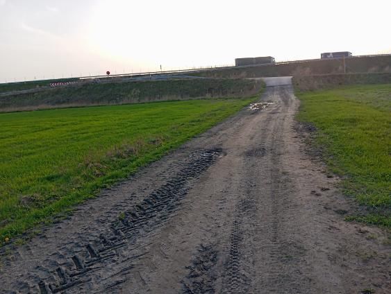 Działka rolna Lubice. Zdjęcie 2