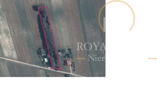 Działka siedliskowa Gołąb. Zdjęcie 8