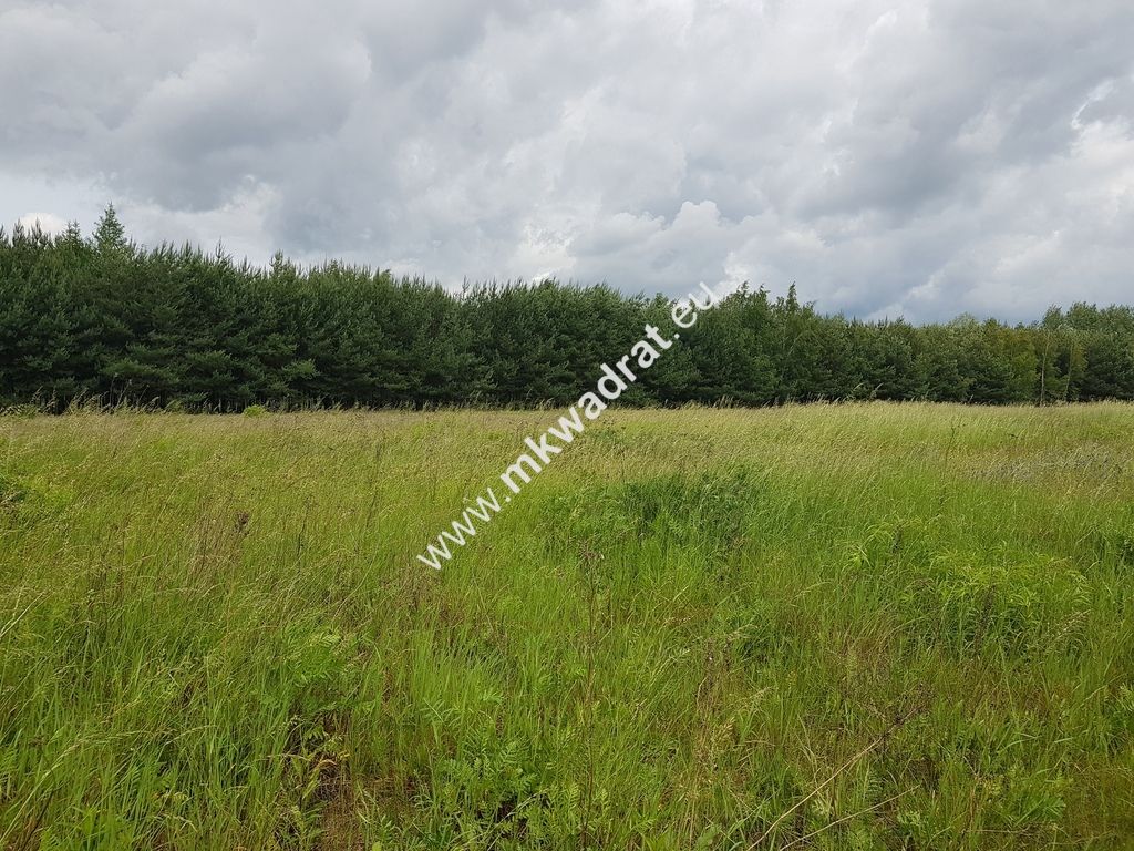 Działka inwestycyjna Jaktorów-Kolonia. Zdjęcie 1