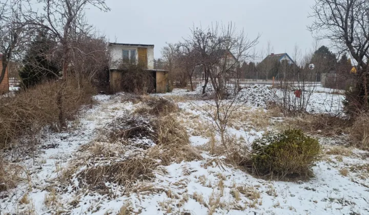 Działka rod Darłowo Centrum, ul. Adama Mickiewicza