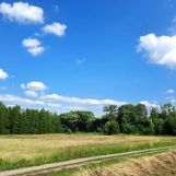 Działka rolno-budowlana Lipowa. Zdjęcie 2