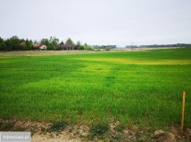 Działka rolna Tałty. Zdjęcie 2