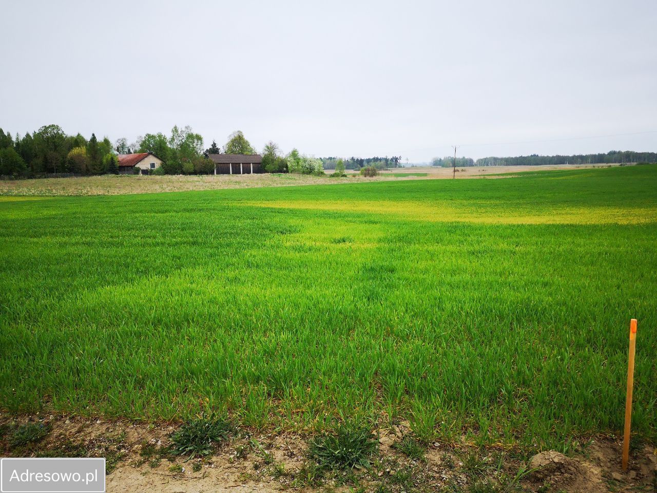 Działka rolna Tałty. Zdjęcie 3